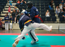 Yoseikan Budo placeholder